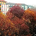 Cenn 8 Milano